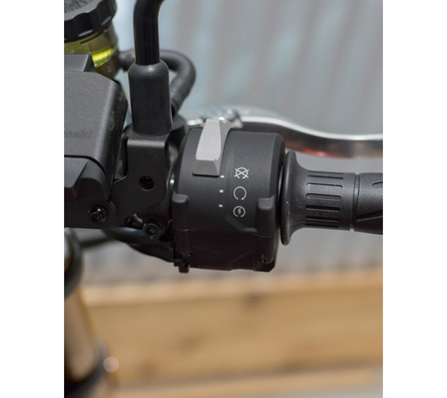 2026 Kawasaki Z900RS SE ABS