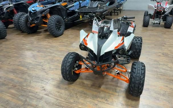 2026 Kayo Storm 300 EFI