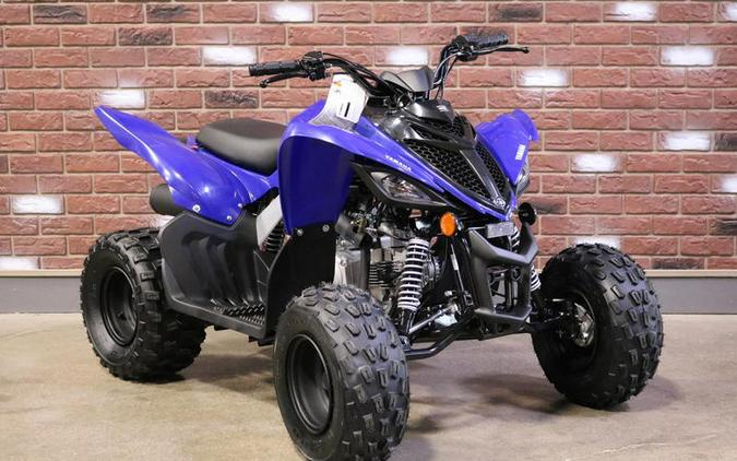 2024 Yamaha Raptor 110