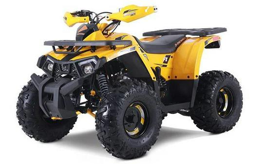 2026 Denago Powersports TRAILHAWK 10FI