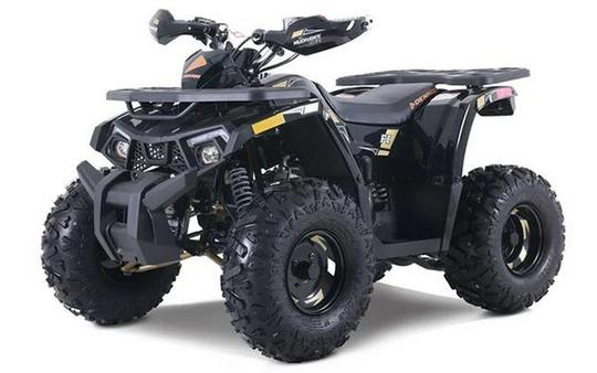 2026 Denago Powersports TRAILHAWK 10FI