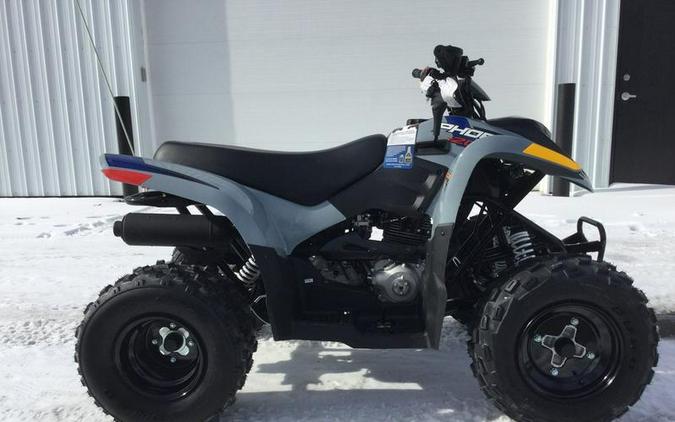 2026 Polaris® Phoenix 200