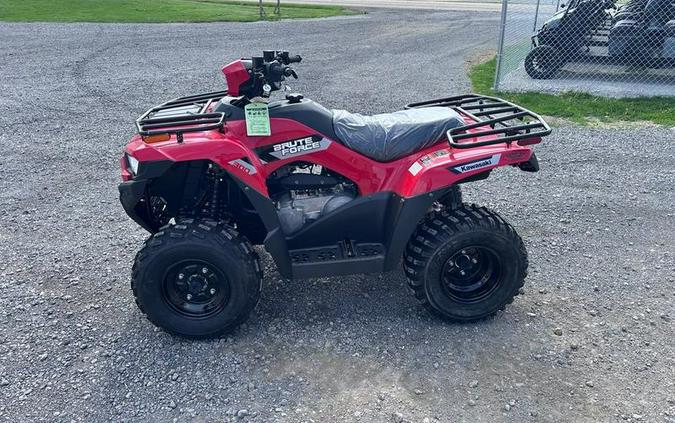 2026 Kawasaki Brute Force® 300