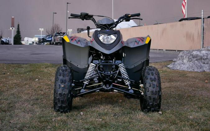 2024 Polaris® Phoenix 200