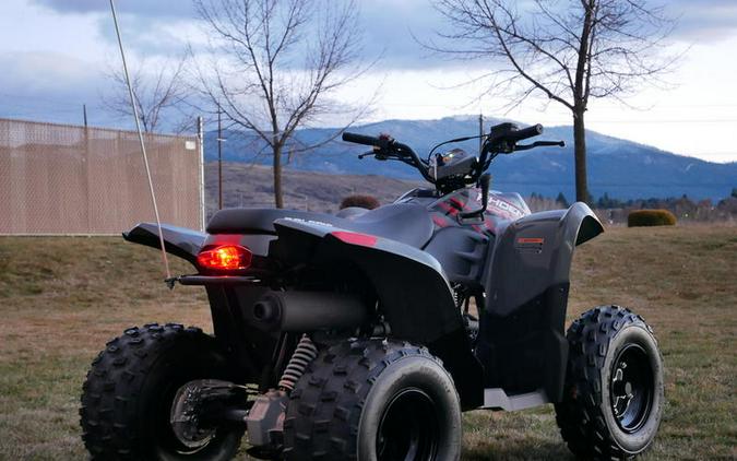 2024 Polaris® Phoenix 200