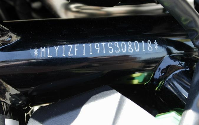 New 2026 Harley-Davidson Sportster Nightster Special Motorcycle For Sale In Medina, OH