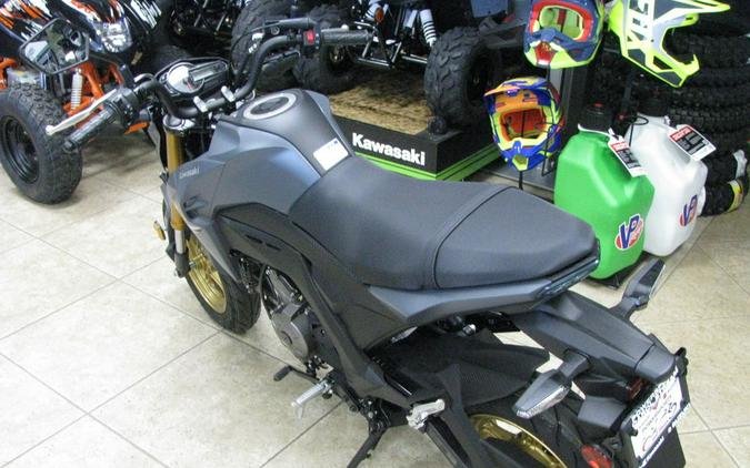 2024 Kawasaki Z125 PRO