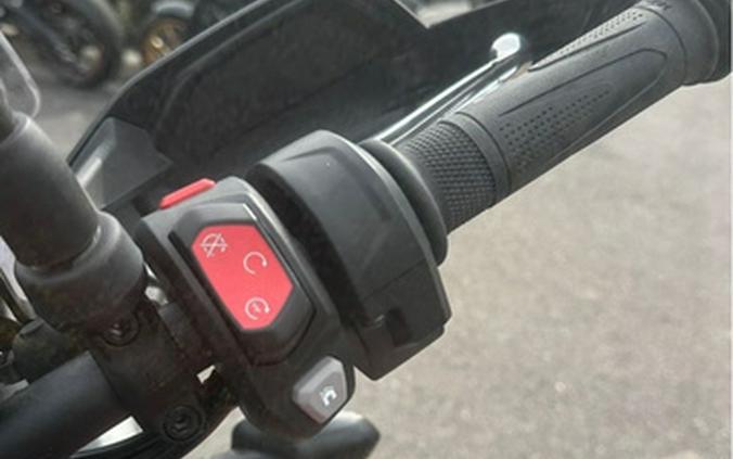 2025 Triumph Tiger 900 GT Pro