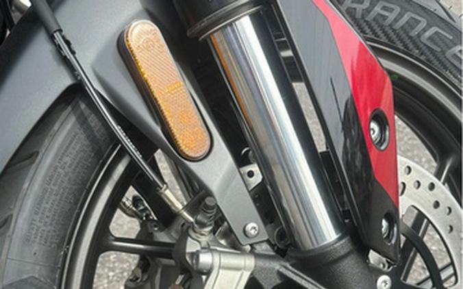 2025 Triumph Tiger 900 GT Pro