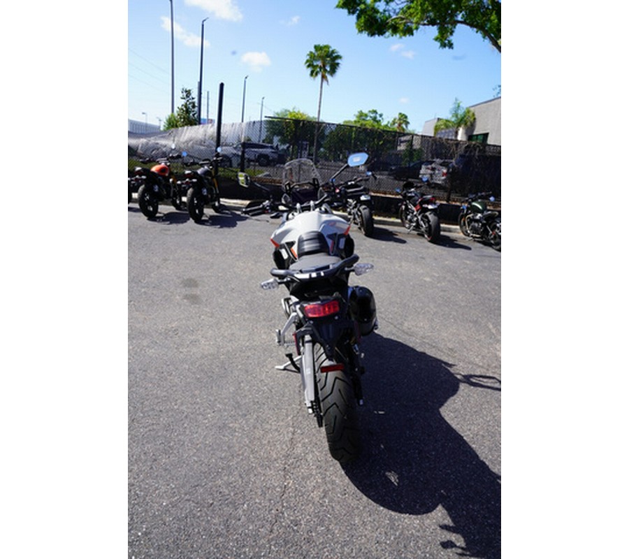 2025 Triumph Tiger 900 Rally Pro