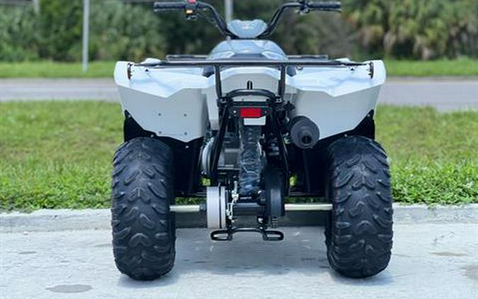 2024 Yamaha Grizzly 90