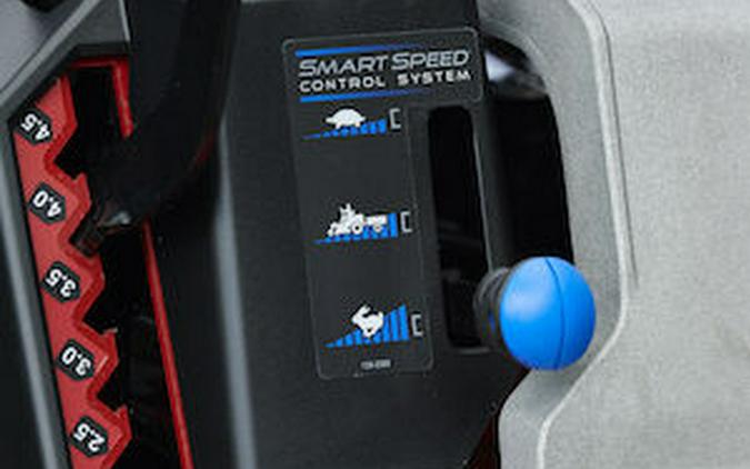 2025 Toro 42 in. (107 cm) TimeCutter MyRIDE Zero Turn Mower - 109214