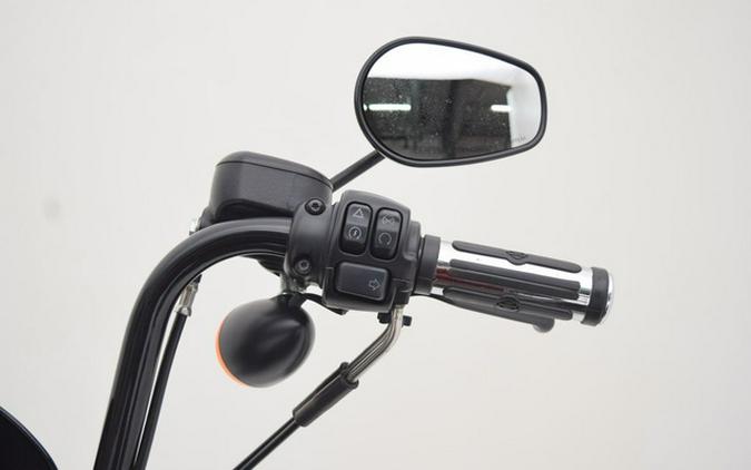 2019 Harley-Davidson XL 1200NS - Sportster Iron 1200