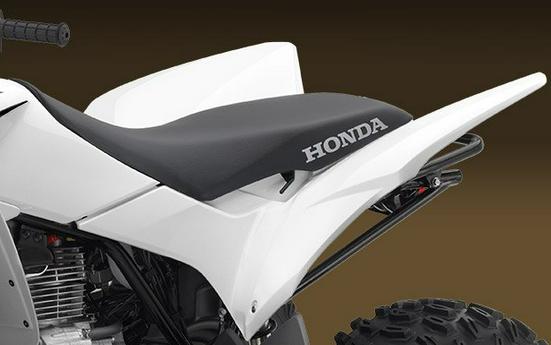 2017 Honda TRX® 250X