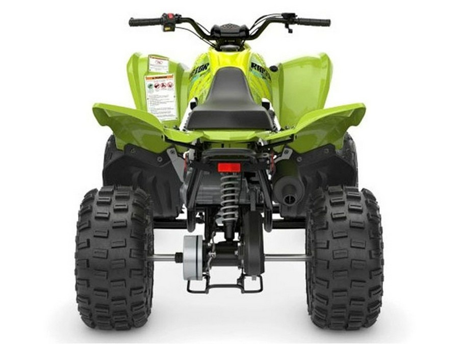 2026 Yamaha Raptor 110