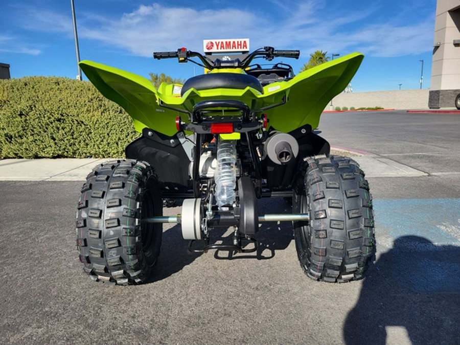 2026 Yamaha Raptor 110