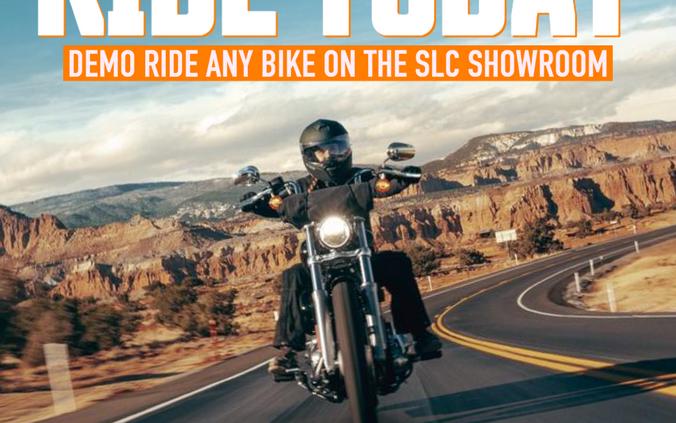 2015 Harley-Davidson SuperLow®