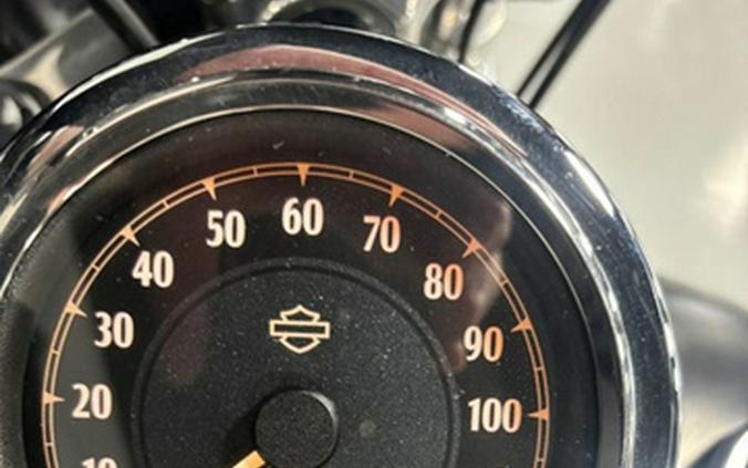 2013 Harley-Davidson Dyna FXDF - Fat Bob