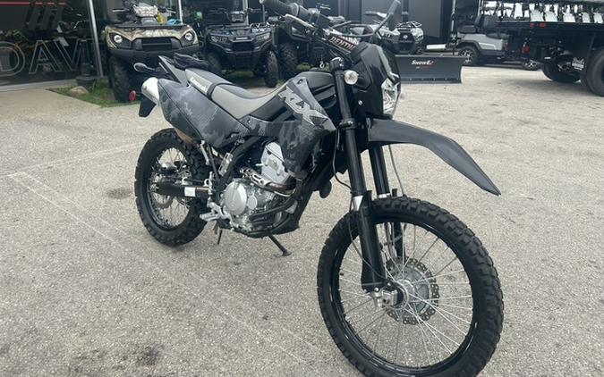 2024 KAWASAKI KLX 300 - 70281