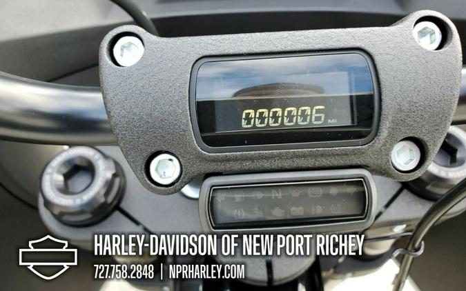 2023 Harley-Davidson Low Rider ST