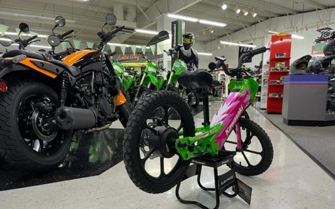 2023 Kawasaki ELEKTRODE