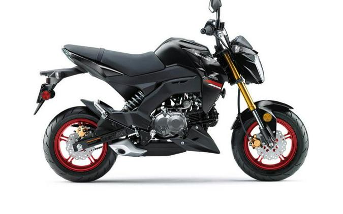 2022 Kawasaki Z125 PRO