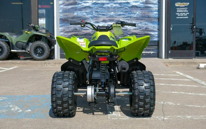 2026 Yamaha Raptor 110