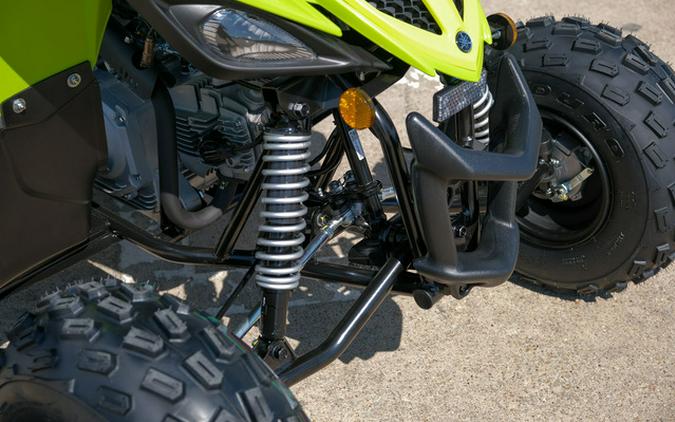 2026 Yamaha Raptor 110