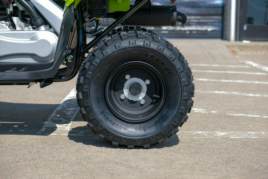 2026 Yamaha Raptor 110