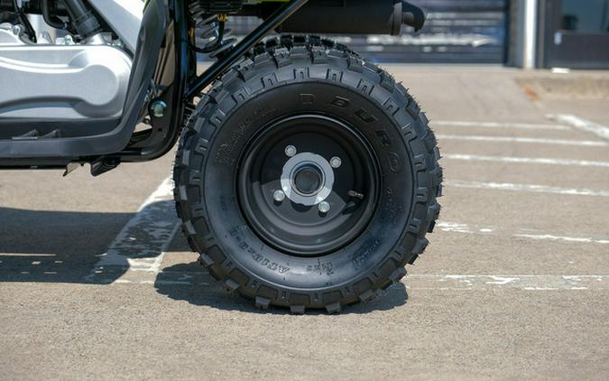 2026 Yamaha Raptor 110