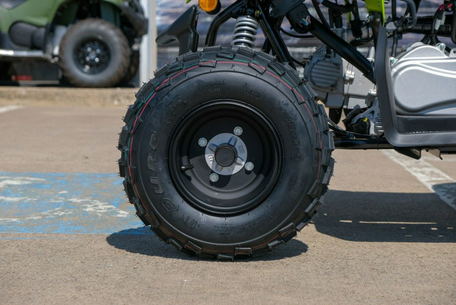 2026 Yamaha Raptor 110