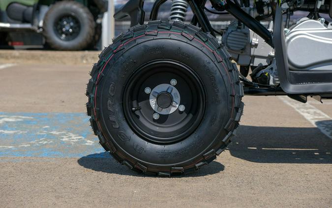 2026 Yamaha Raptor 110