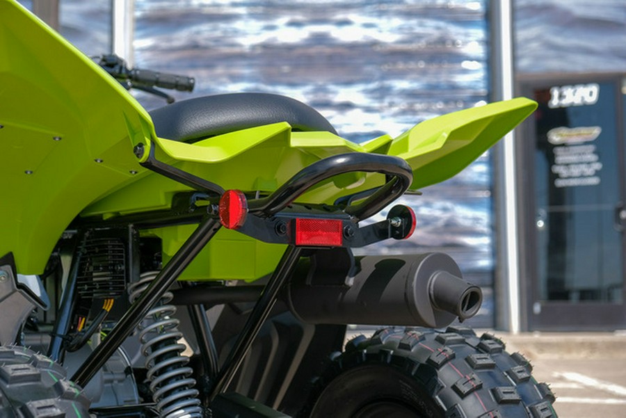 2026 Yamaha Raptor 110