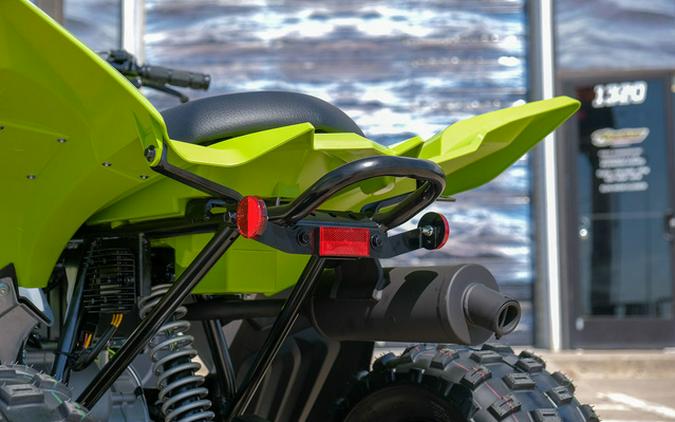 2026 Yamaha Raptor 110