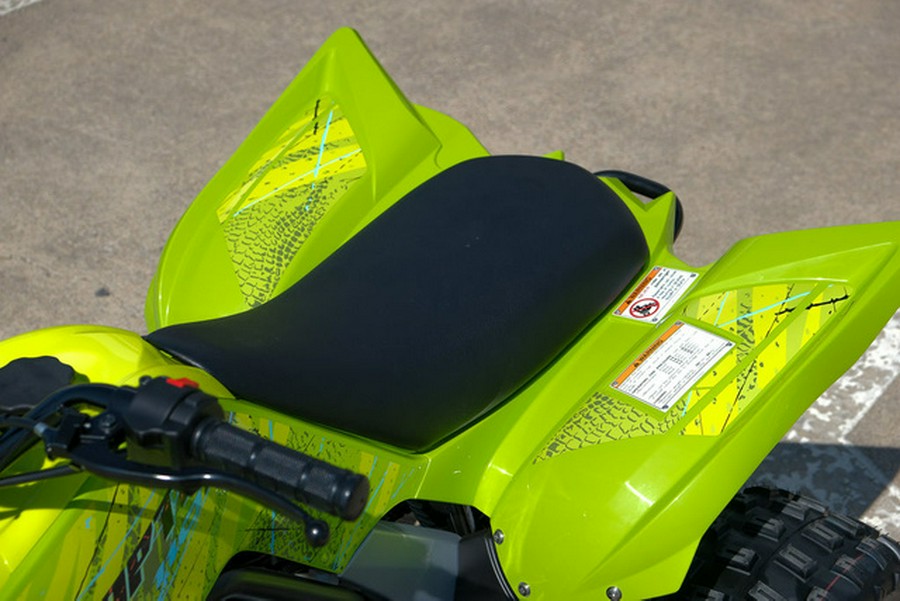 2026 Yamaha Raptor 110