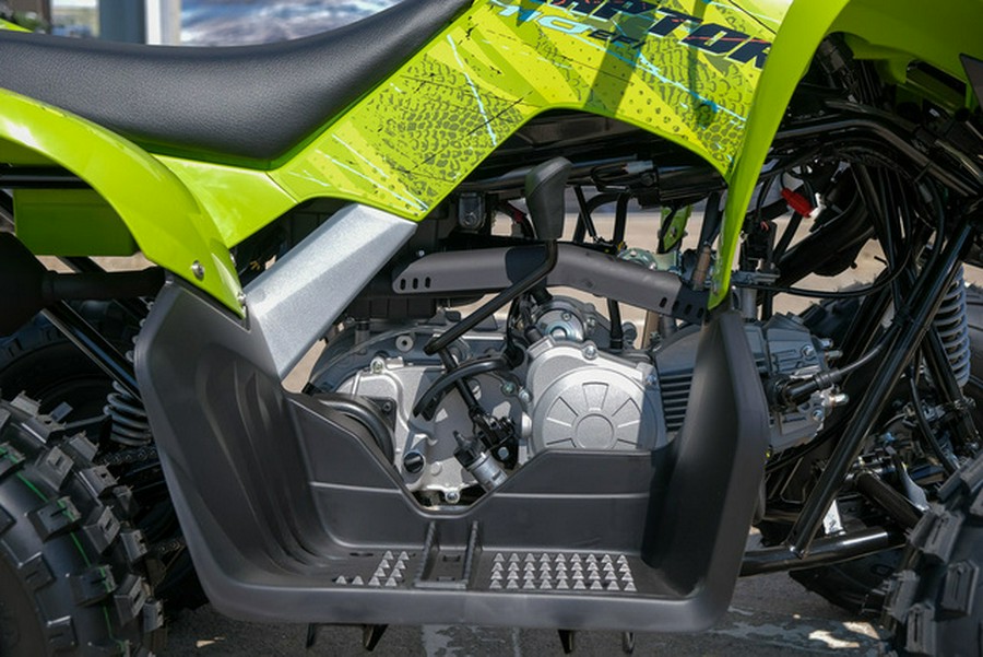 2026 Yamaha Raptor 110
