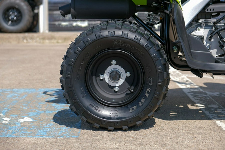 2026 Yamaha Raptor 110