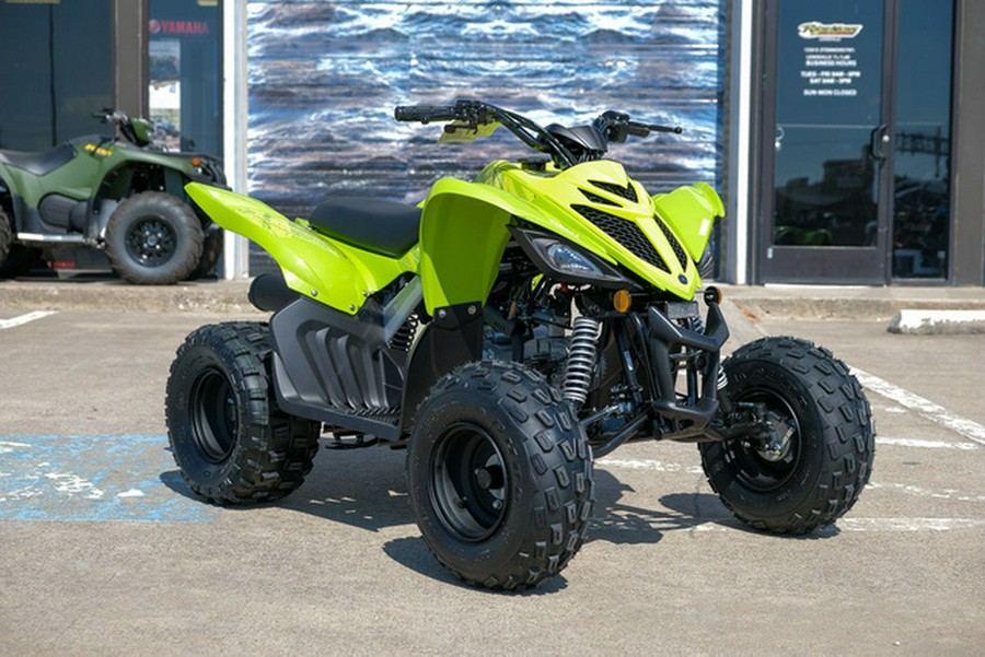 2026 Yamaha Raptor 110