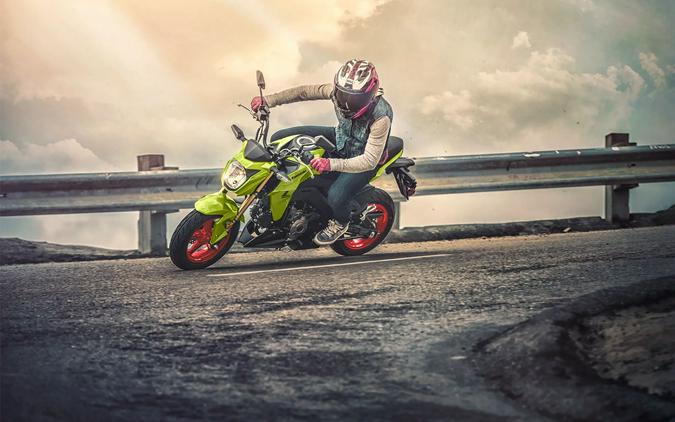 2026 Kawasaki Z125 Pro