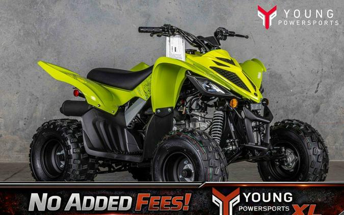 2026 Yamaha Raptor 110