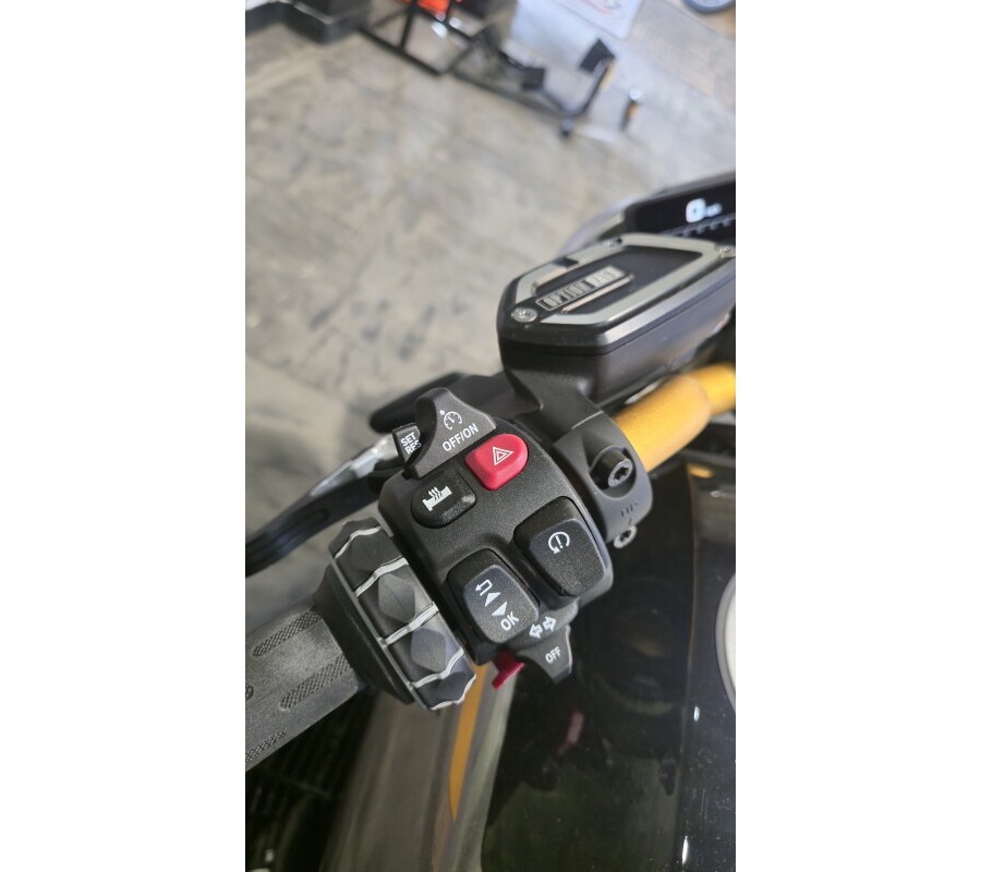 2025 BMW Motorrad R 12 Option 719