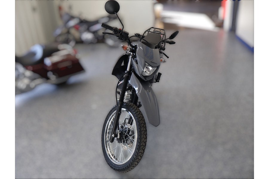 2025 Honda XR150LS