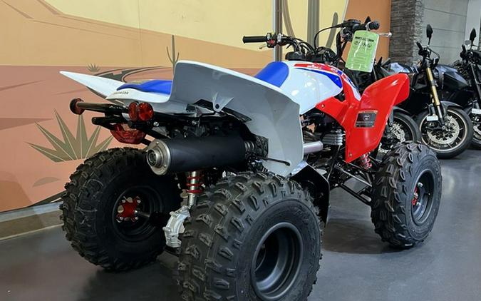 2026 Honda TRX 250X