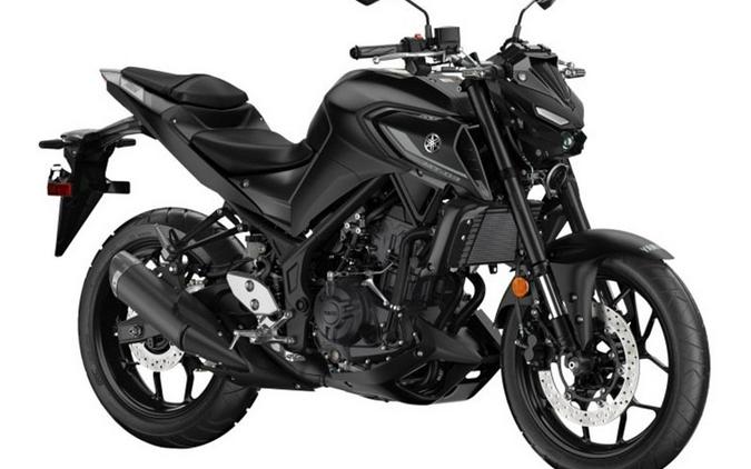 2024 Yamaha MT 03