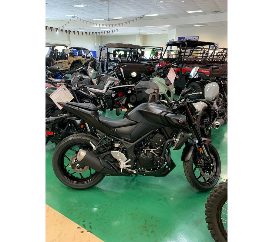 2024 Yamaha MT 03