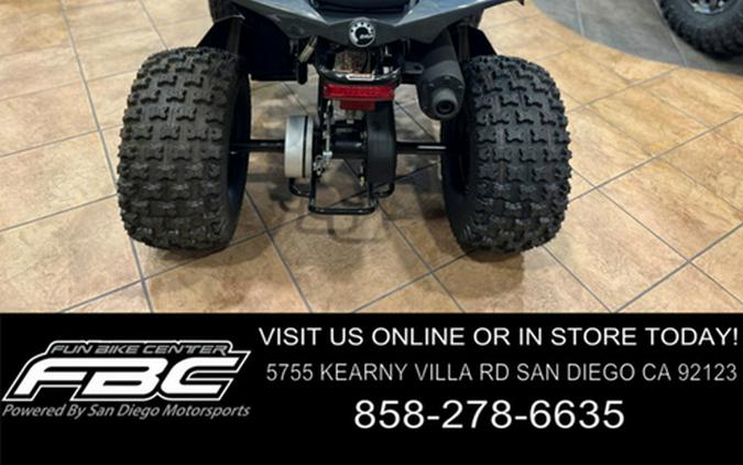 2026 Can-Am Renegade X Xc 110 EFI