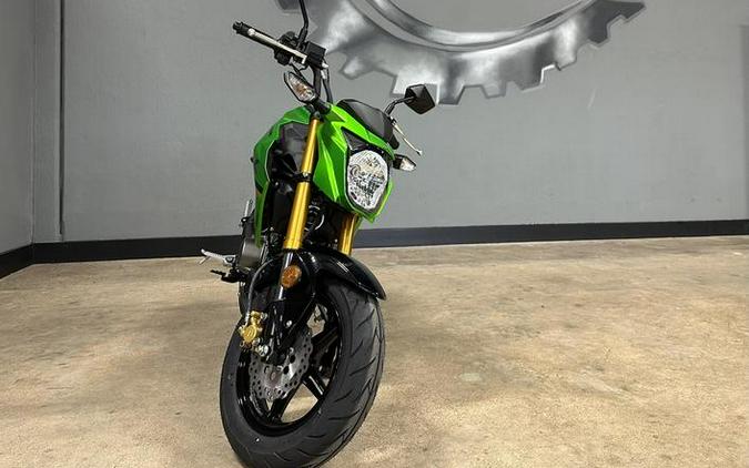 2024 Kawasaki Z125 PRO