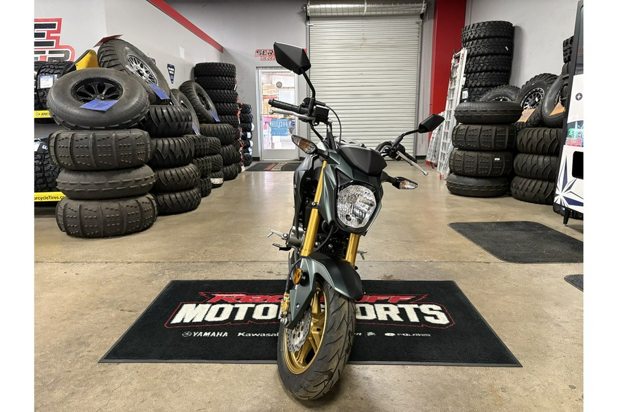 2025 Kawasaki Z125 Pro