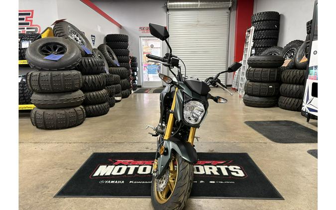 2025 Kawasaki Z125 Pro