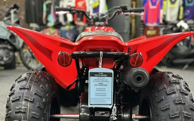 2026 Honda® TRX90X